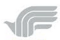 FlyingFoodGroup